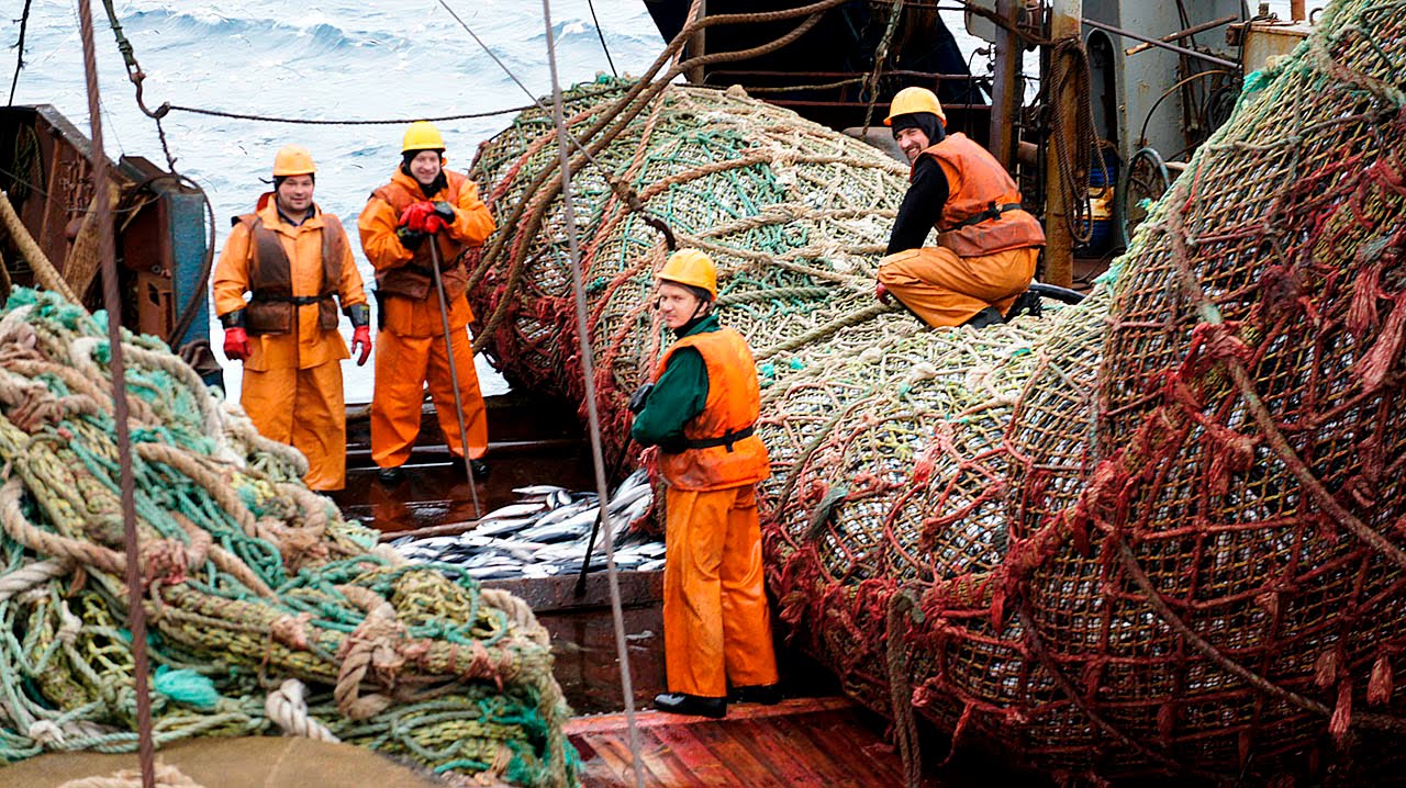 Ищем партнеров рыбной продукции и морских деликатесов